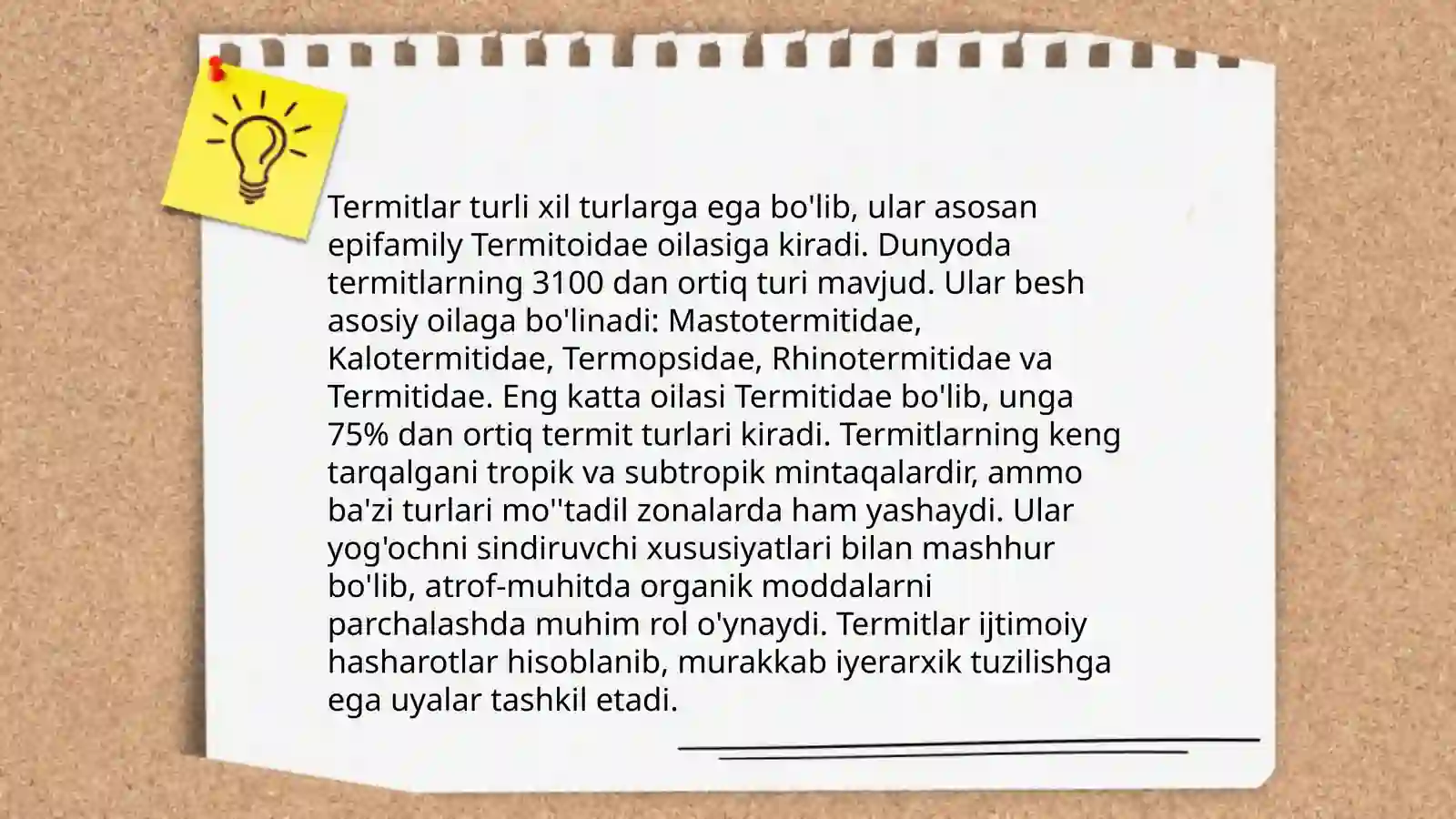Termitlar 4