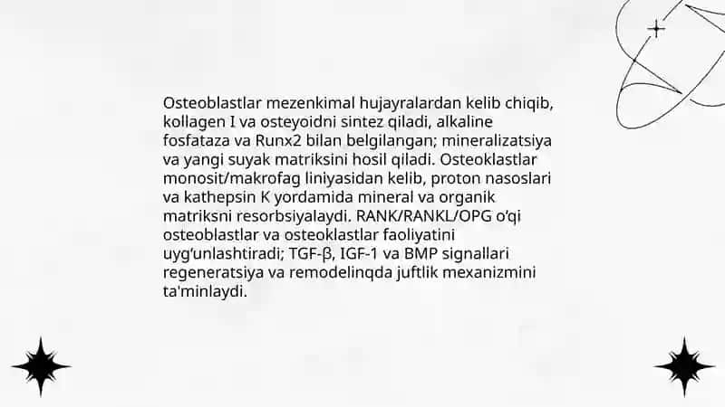 Suyak tòqimasining regenaratsiyasi 4