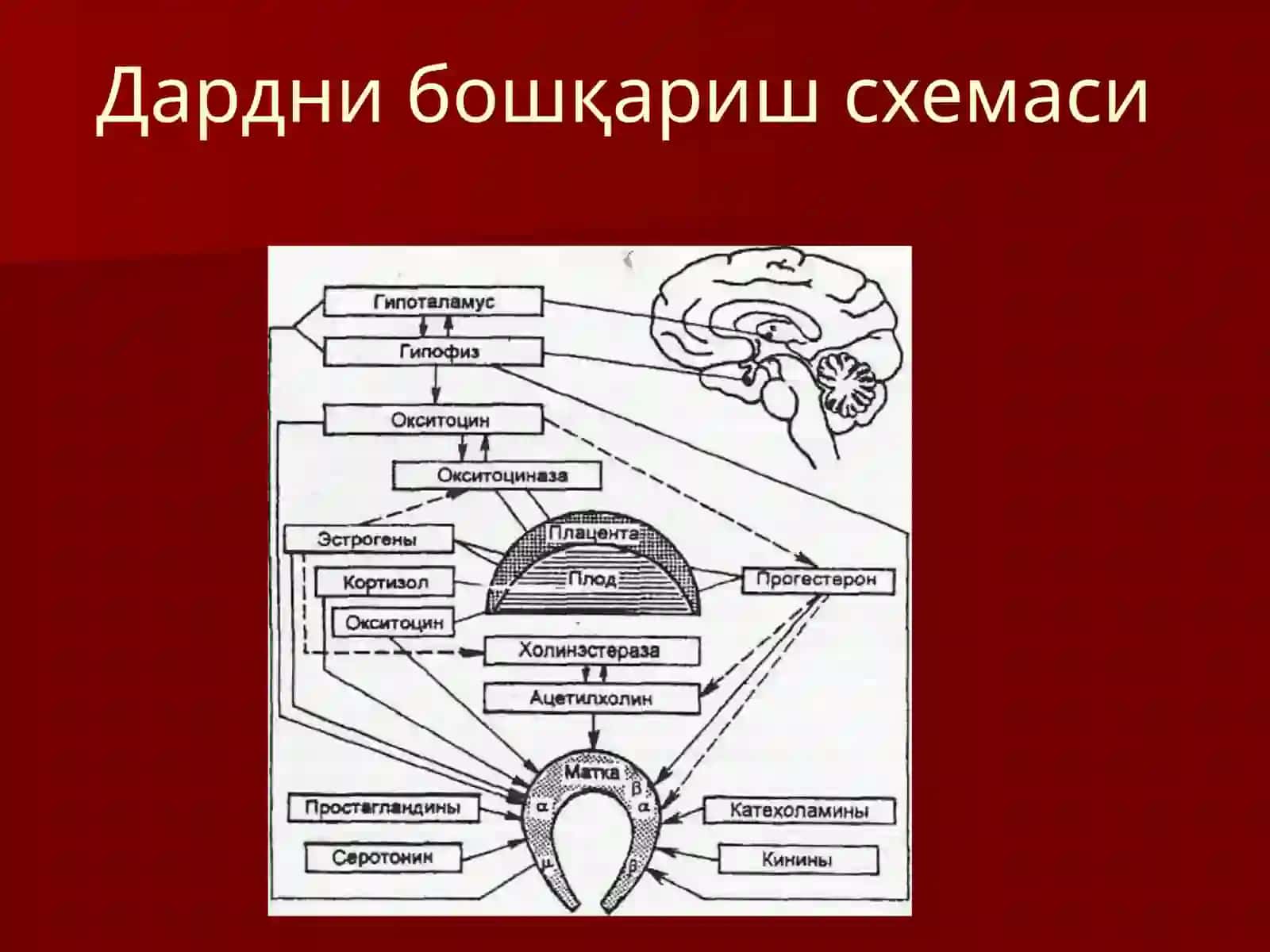 Акушерлик дард тутишнукусонлари 4