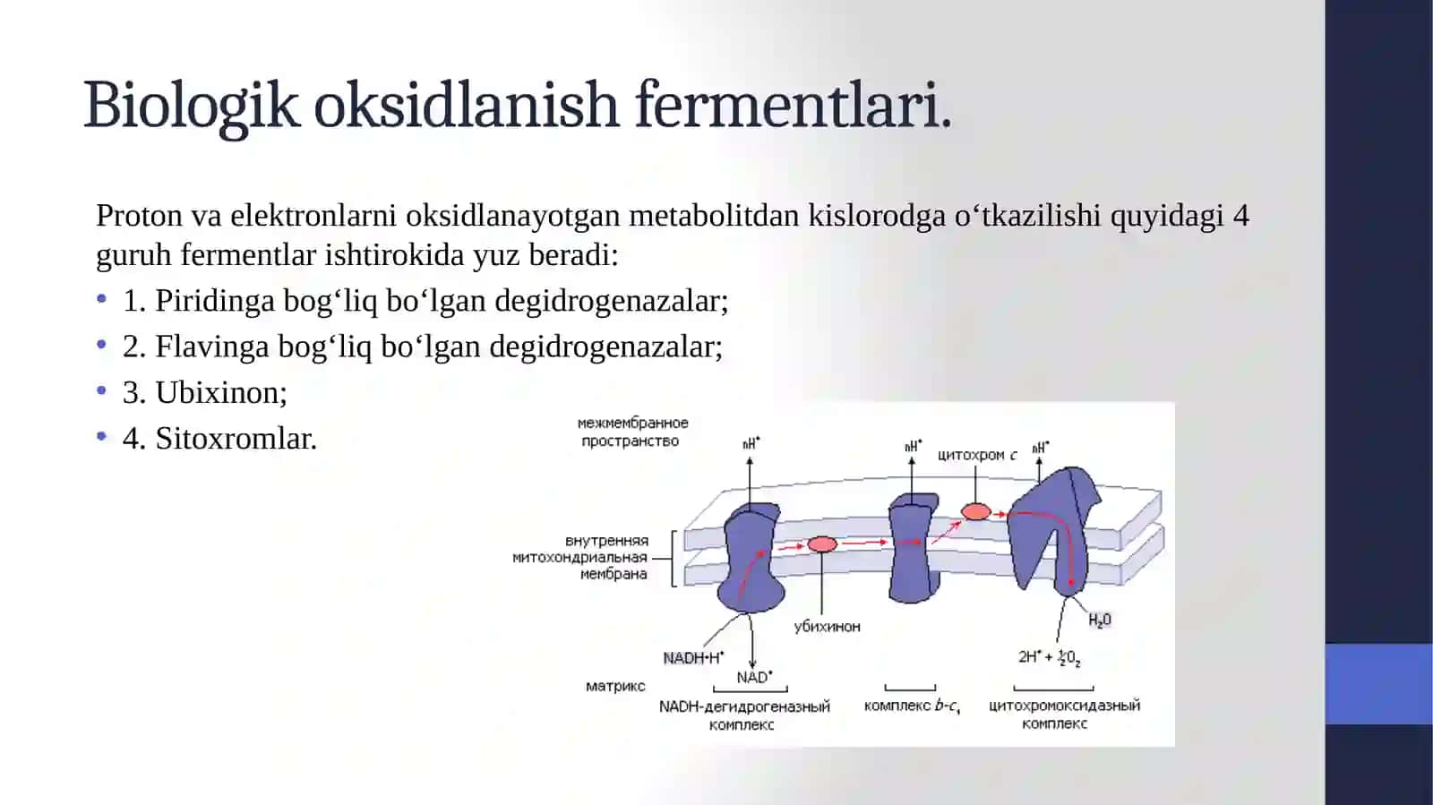Biologik oksidlanish 4