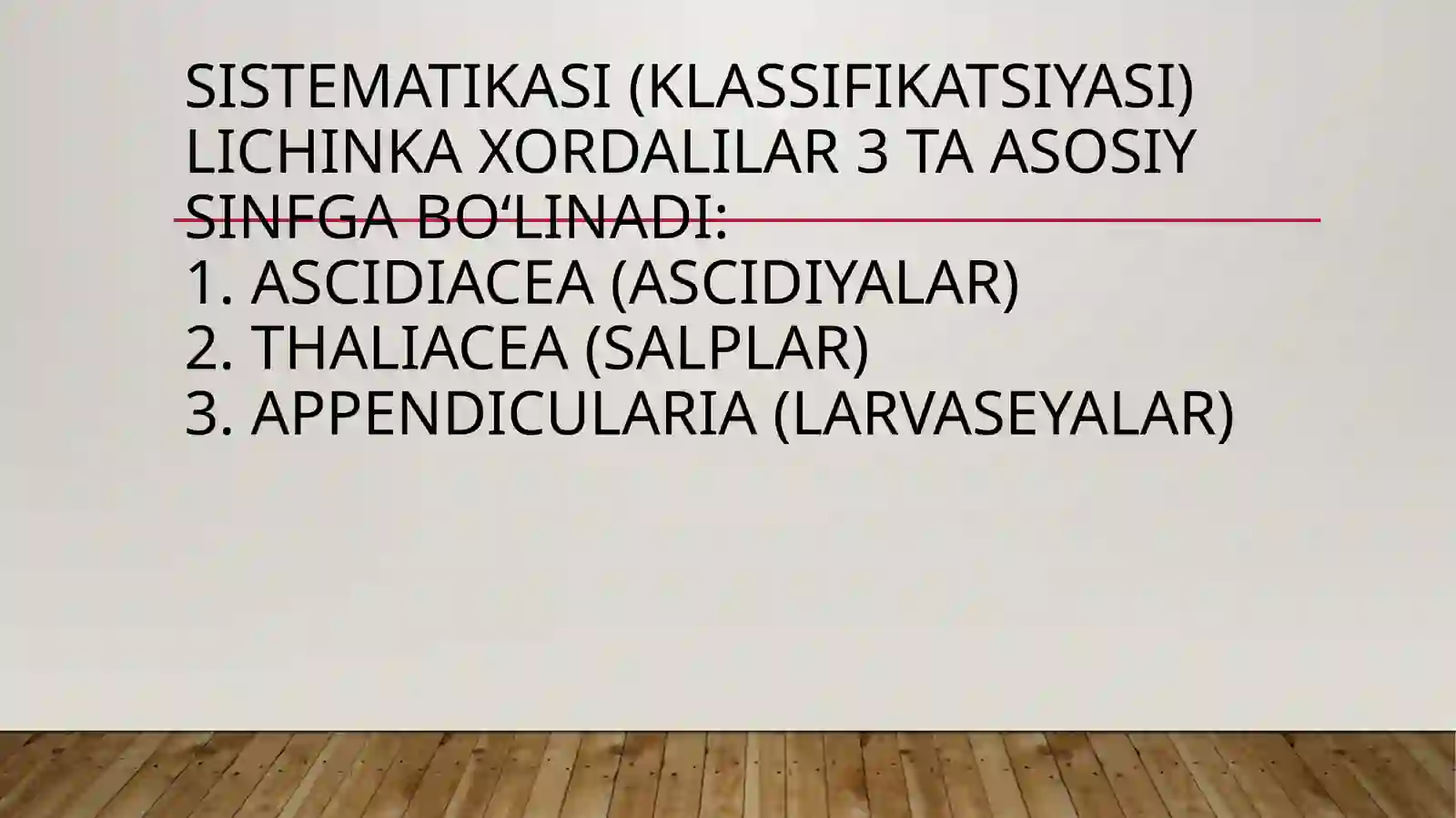 Xordalilartipi –chordata,lichinkaxordalilar–urochordataKenjatipiningsistematikasivafilogeniyasi 4