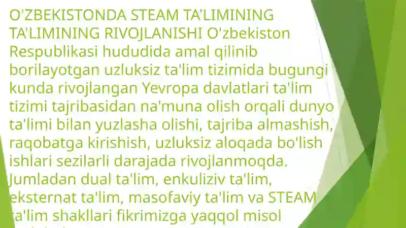 STEM Ta'limi 4