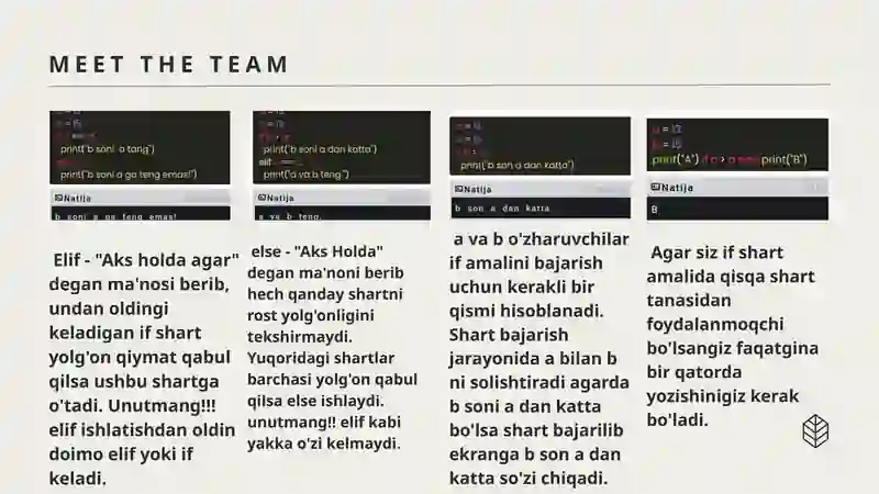 Python  dasturlash tilining if-else operatori 4