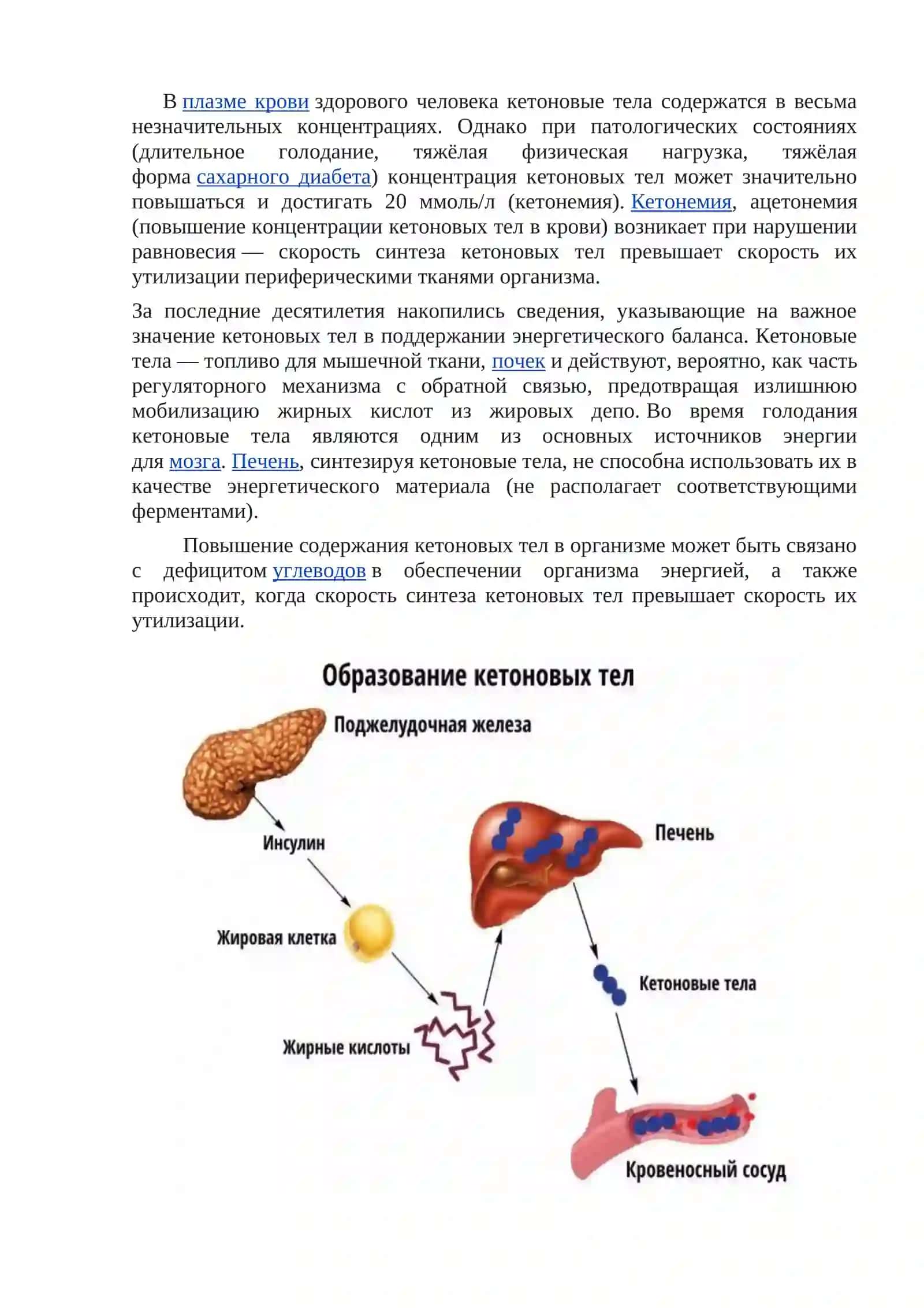 ПРАКТИЧЕСКИЕ ТЕСТЫ 4