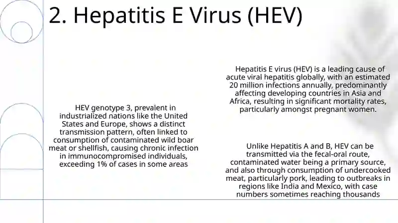 Infectious diseases. Hepatitis 4