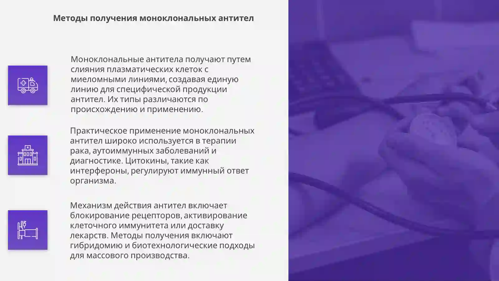моноклональные антитела 4