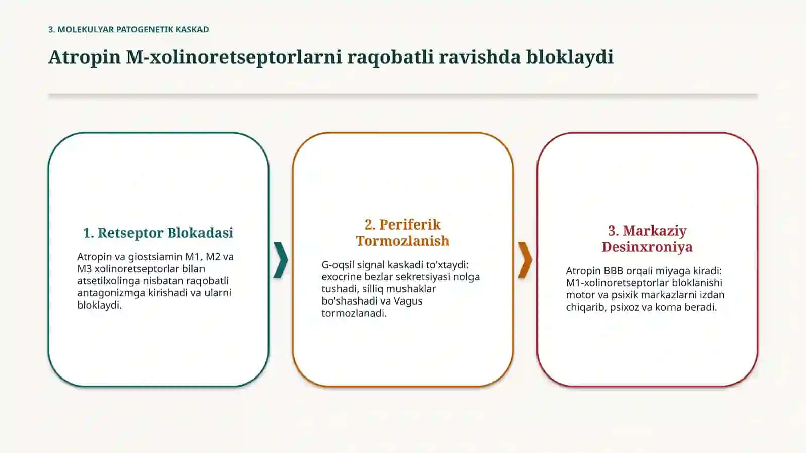 Atropin va belladonna bilan zaharlanish — 15 slayd 4