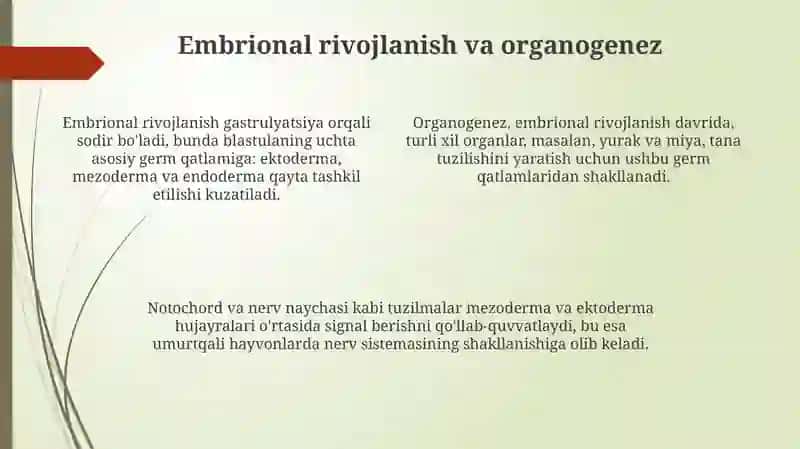 Rivojlanish biologiyasi 4