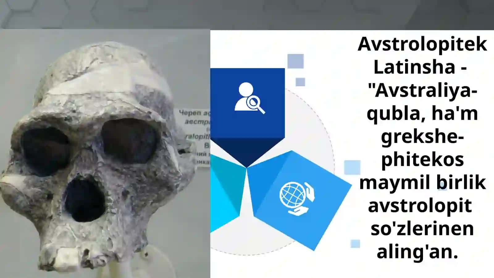 Q.M.UTARIYX FAKULTETI ARXEOLOGIYA QANIGELIGI 1-KURS STUDENTIJAN'ABAEVABUBAKIRDIŃ INSAN EVOLYUCIYASI HAM ALDINĞI TARIYX PàNINEN ISLEGEN SLAYD JUMISI 4