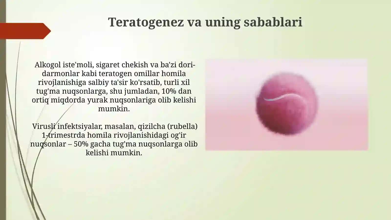 Embriogenezning umumiy qonuniyatlari 4