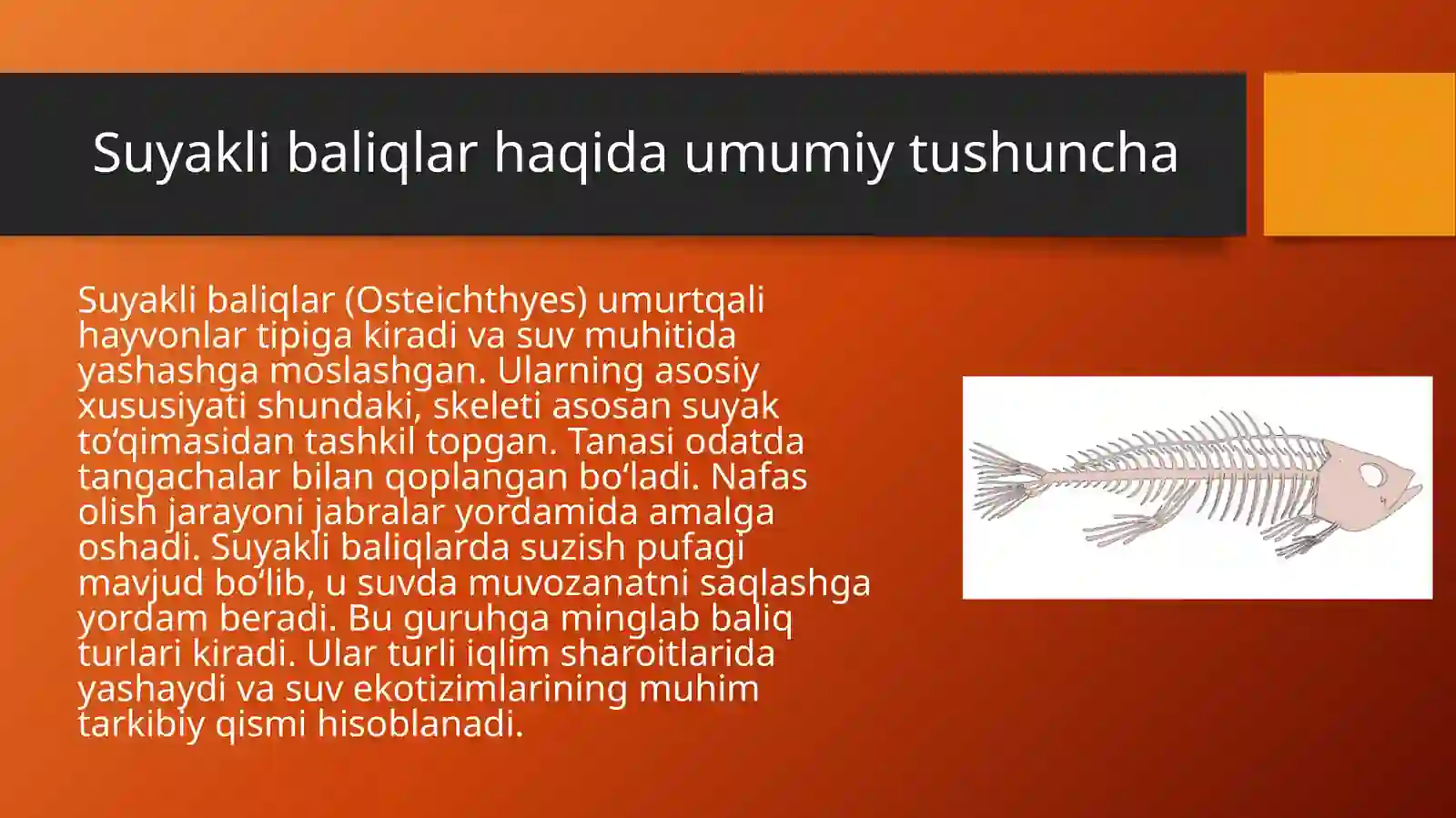 Suyakli baliqlar sinfi. 4