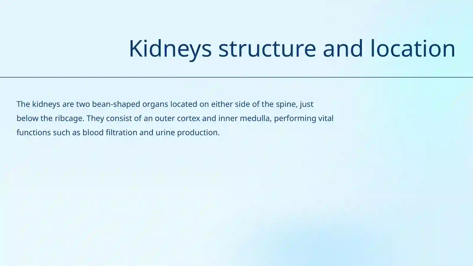 Renal System 4