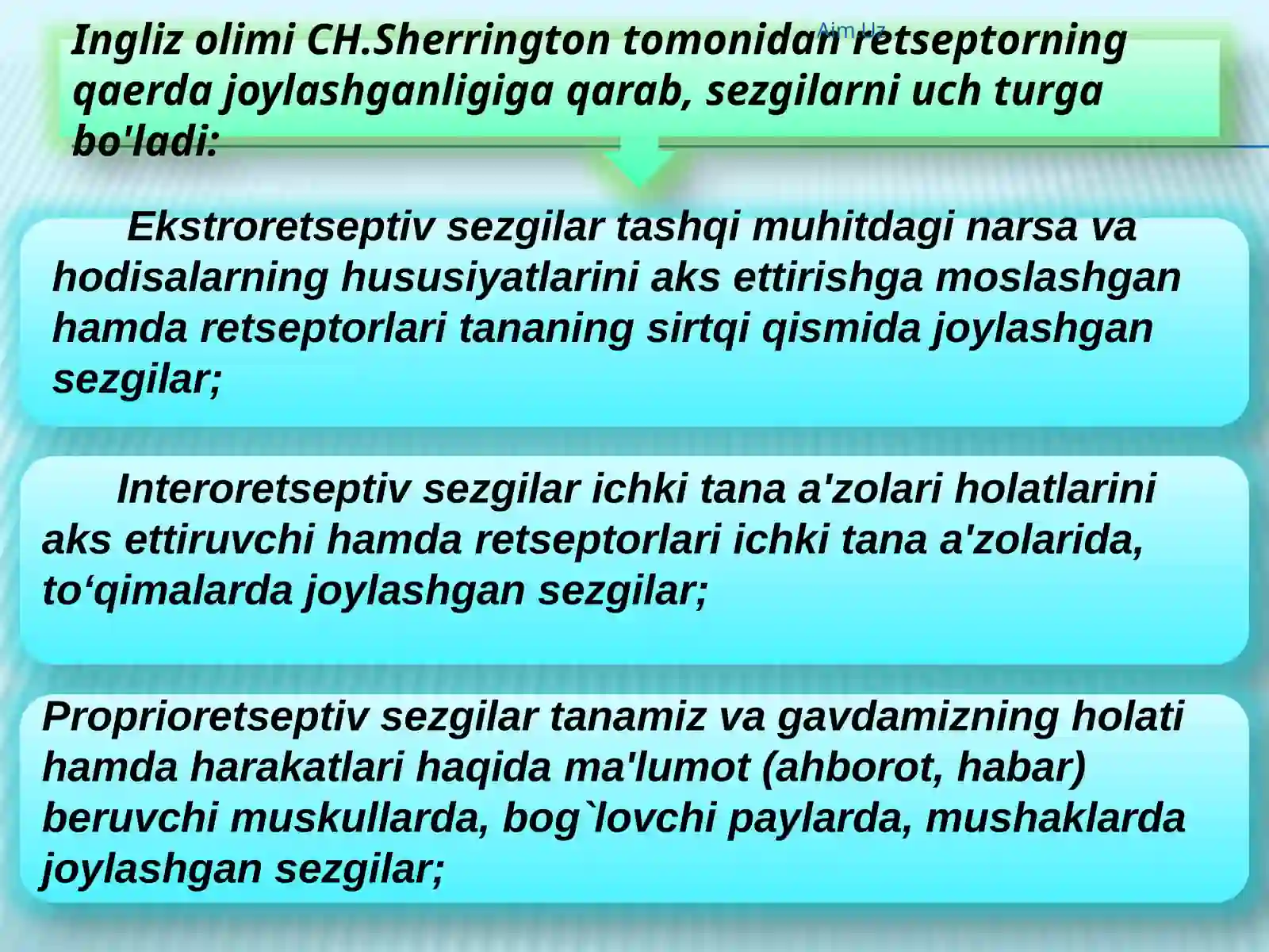 Sezgi 4