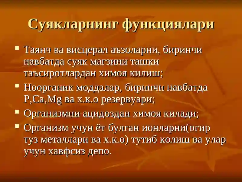 Суяк-мушак тизими 4