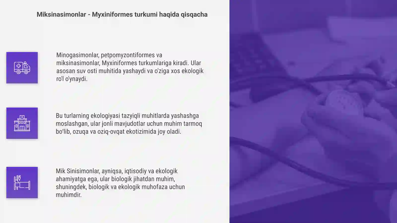 Minogasimonlar -petpomyzontiformes va miksinasimonlar-Myxiniflrmes turkumlari,ekologiyasi va ahamiyati 4