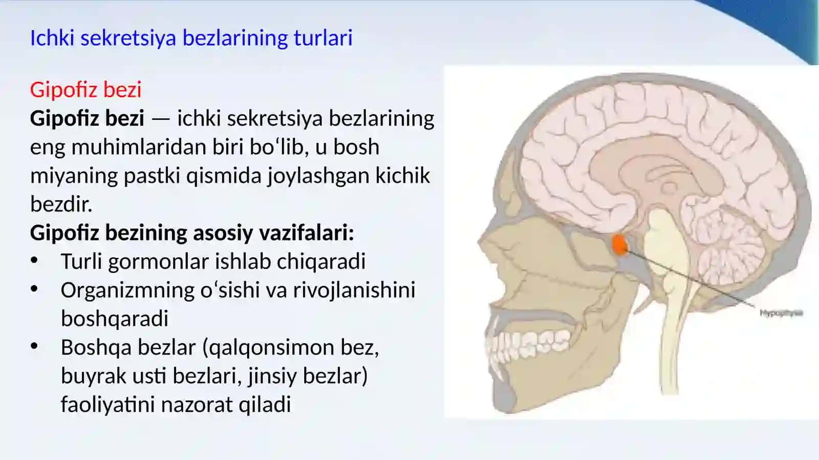 sekretsiya bezlari 4