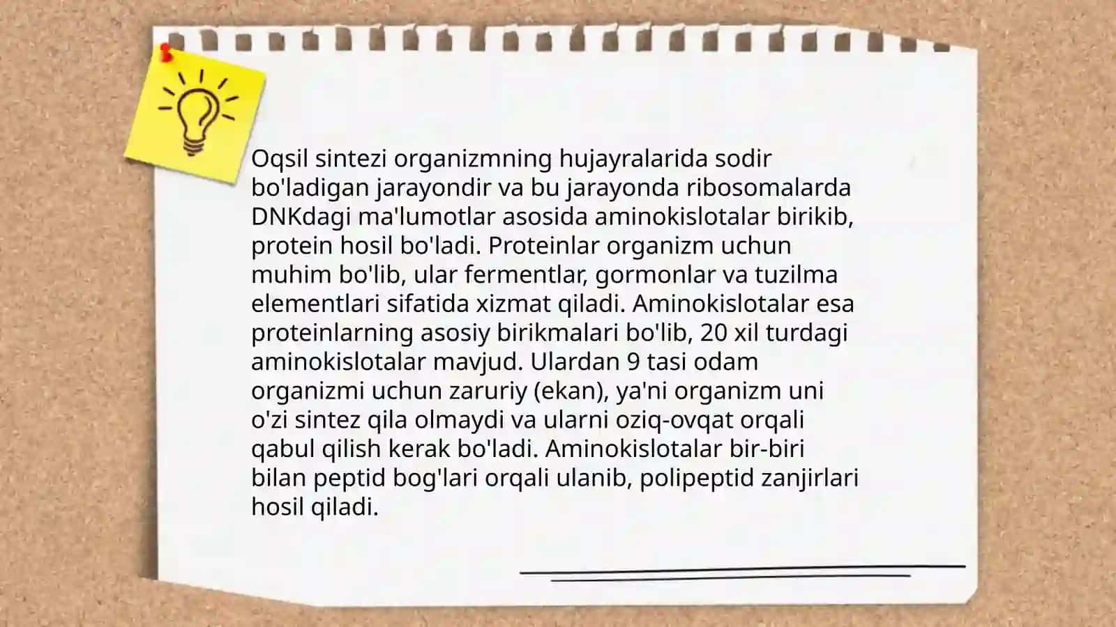 Aminokislotalar, nukleotidlar va ularning metabolizmi bilan bogliq molekulalar 4