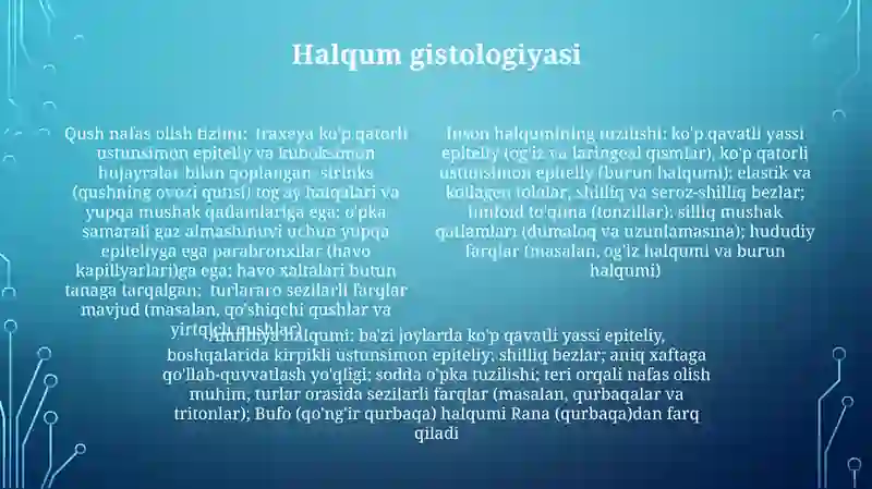 Nafasolishaʼzolarining qiyosiysgistalogik tavsifi 4