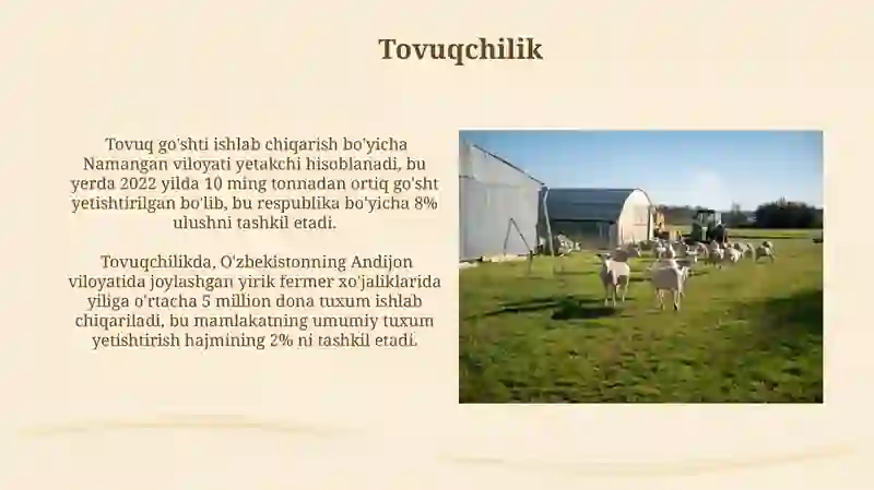 Qoramolchilik 4
