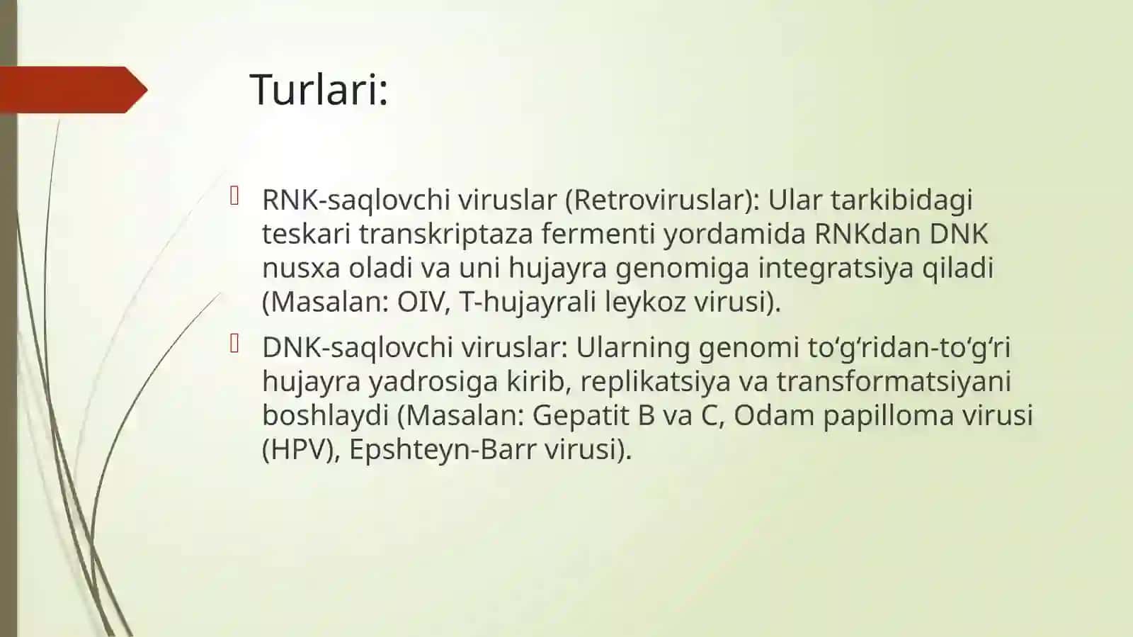 TOSHKENT DAVLAT TIBBIYOT UNIVERSITETI Normal va Patologik fiziologiya kafedrasi 4