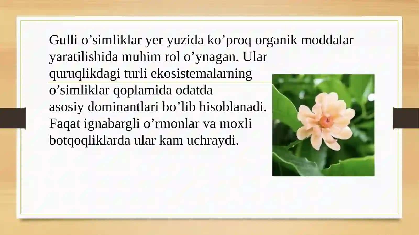 BOTANIKA. Gulli oʻsimliklar 4