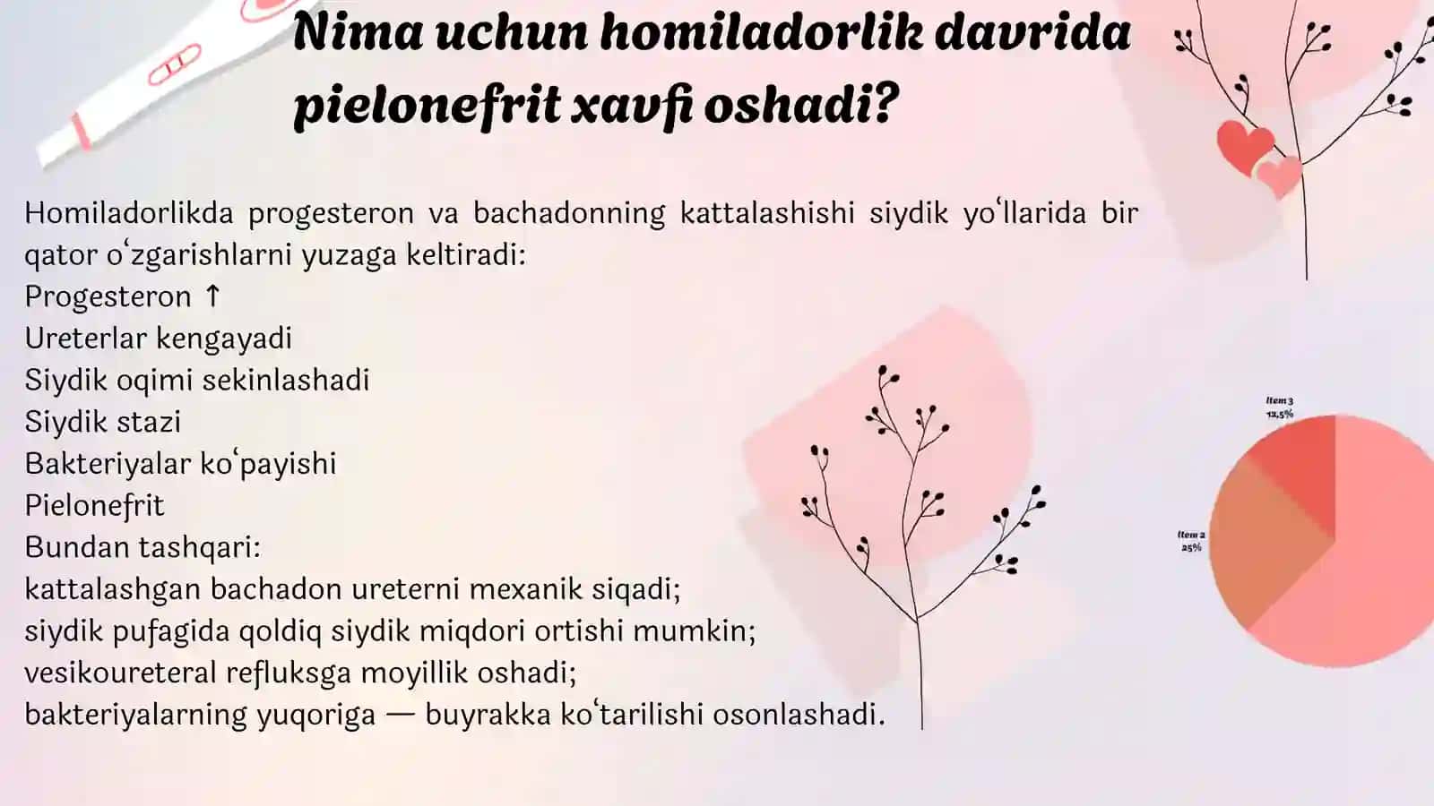 Homiladorlik davrida pielonefrit 4