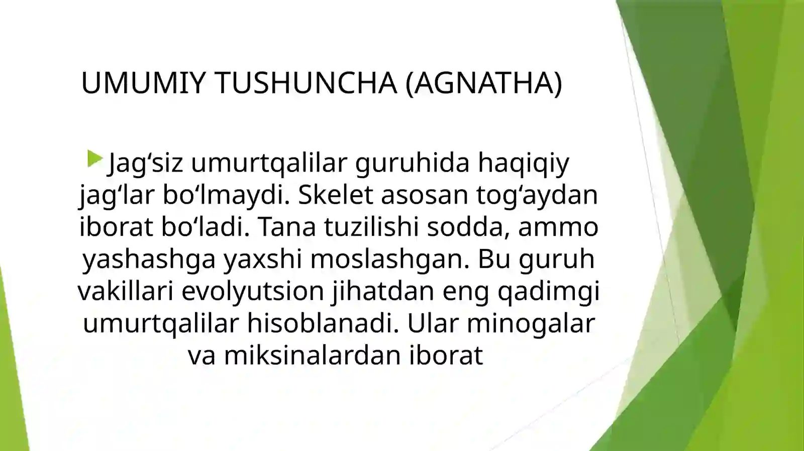 Minogasimonlar - Petpomyzontiformes va Miksinasimonlar - Myxiniformes turkumlari, ekologiyasi va ahmiyati 4