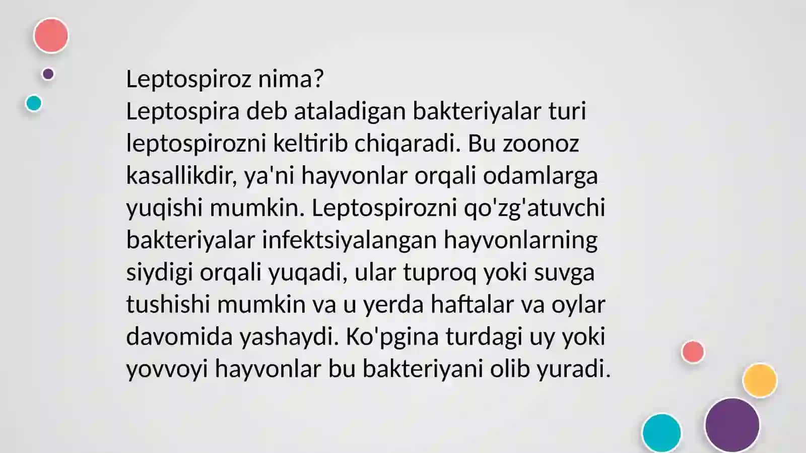 Leptospirozlar odamlar va hayvonlarga ta'sir qiladigan bakterial infektsiya. Alomatlari, laboratoriyadiagnostikasi va profylaktika haqida malumot 4