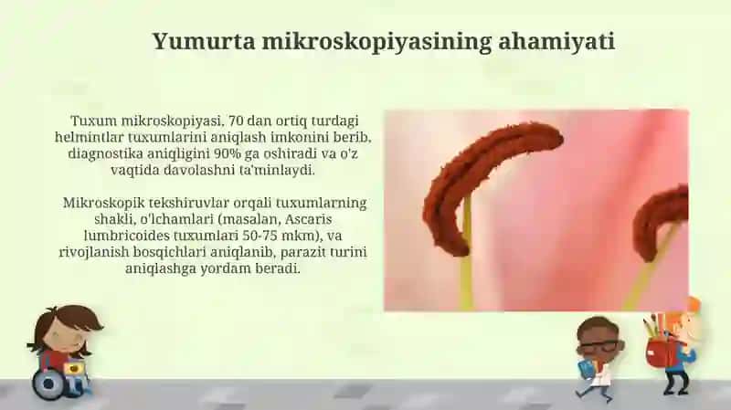 Parazit yumoloq chuvalchanglar,devastatsiya degelmintizitsiya, ovogel mintoskopi 4