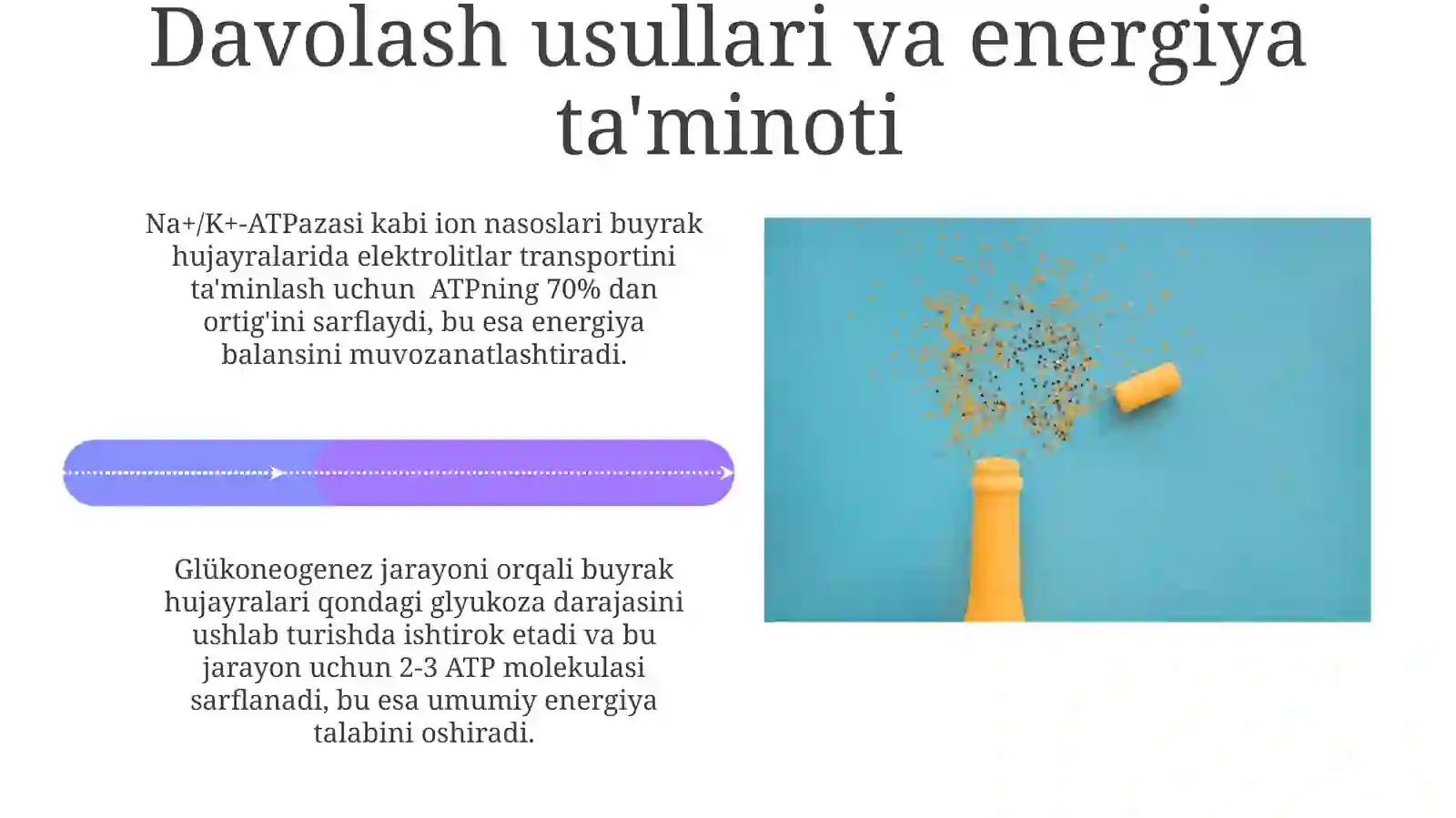 Buyrak metabolizmidagi kaltsiy, fosfor va bikarbonat uchun energiya ta'minoti 4