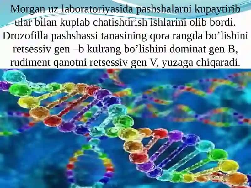 Umumiy genetika 8 - Amaliy mashg’ulot 4