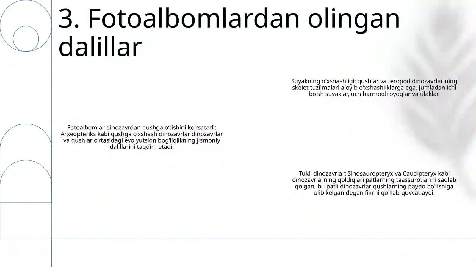 Qushlarning Kelib Chiqishi 4
