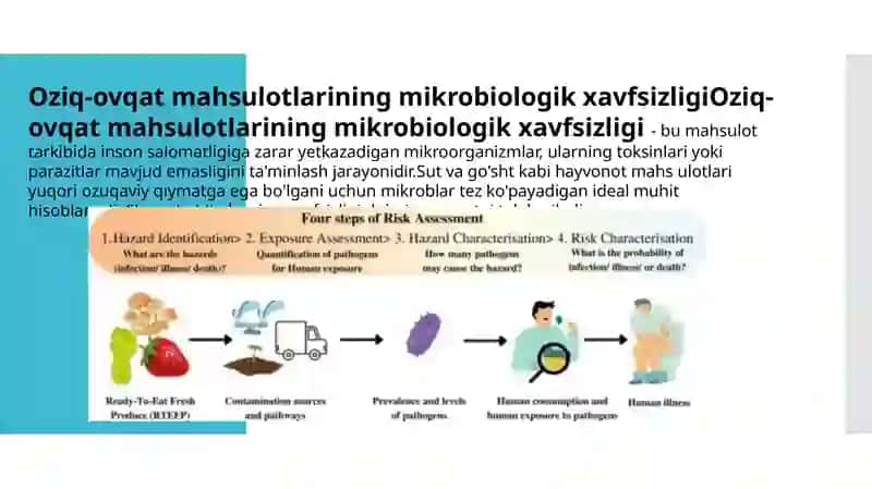 Oziq ovqat mahsulotlariga(sut va go’sht) sanitar bakteriologik baho berish va tahlil qilish 4