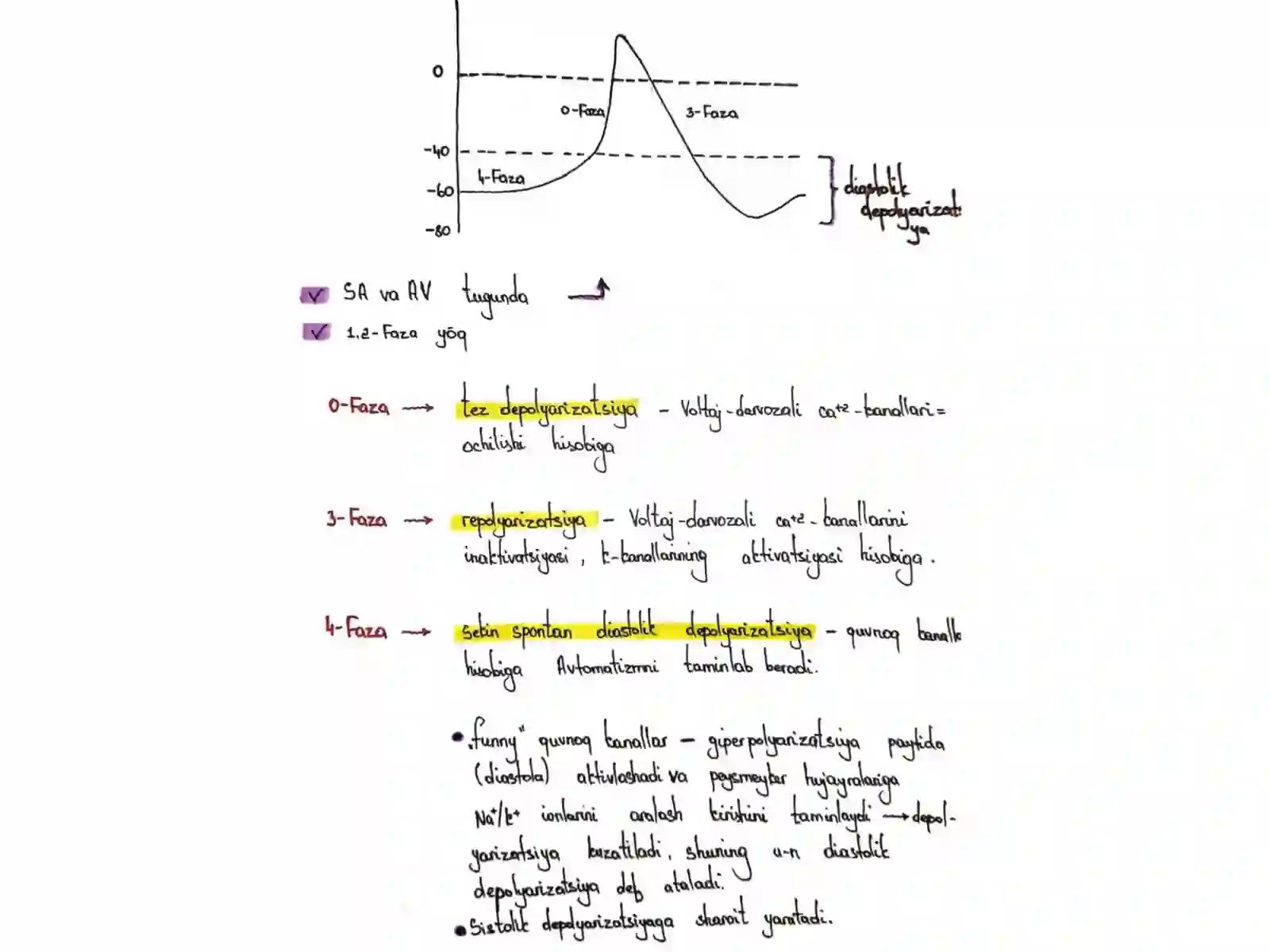 Yurak ritmi buzilishlari 4