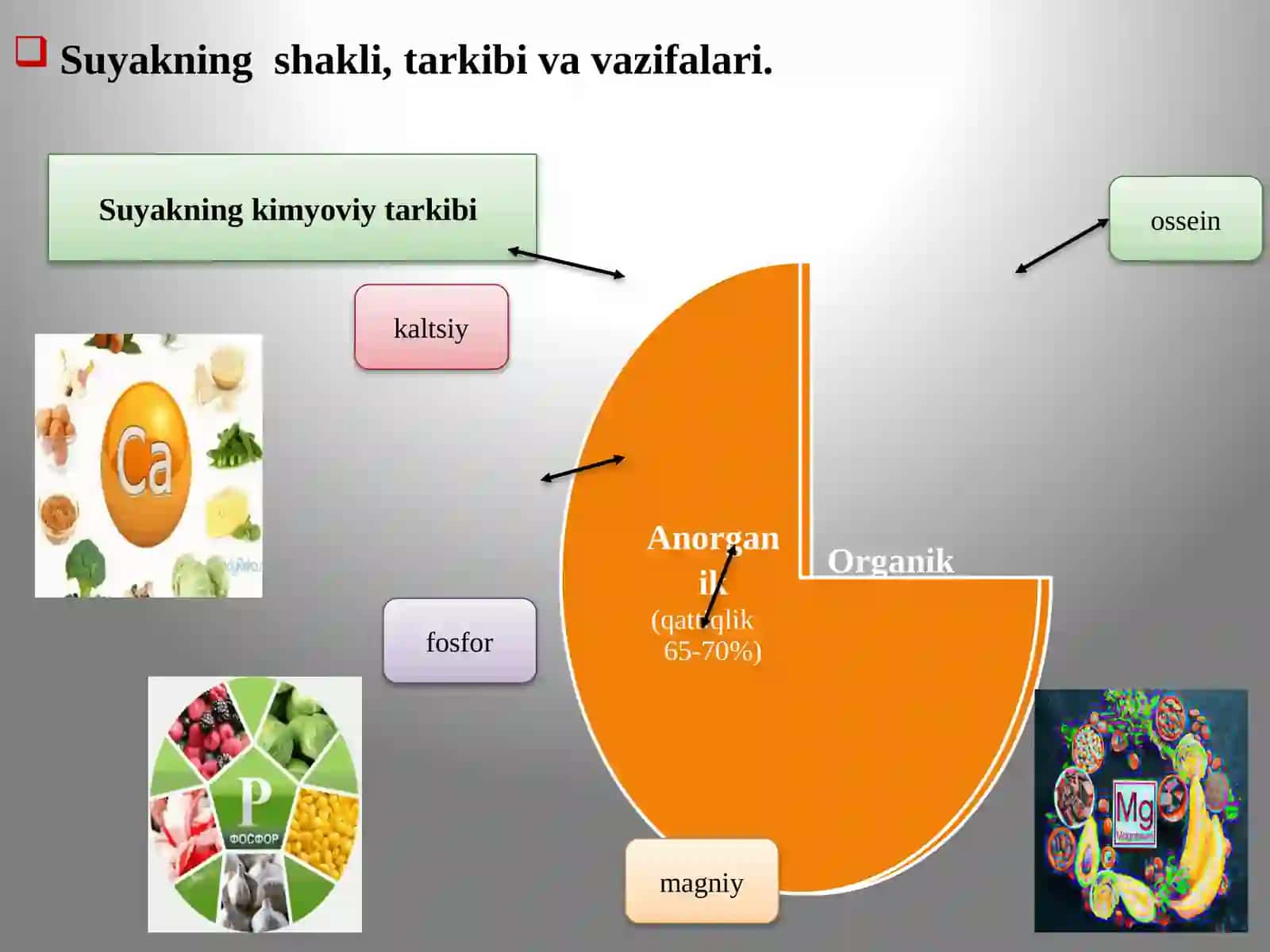 Tayanch–harakat apparatining yosh xususiyatlari va gigiyenasi 4