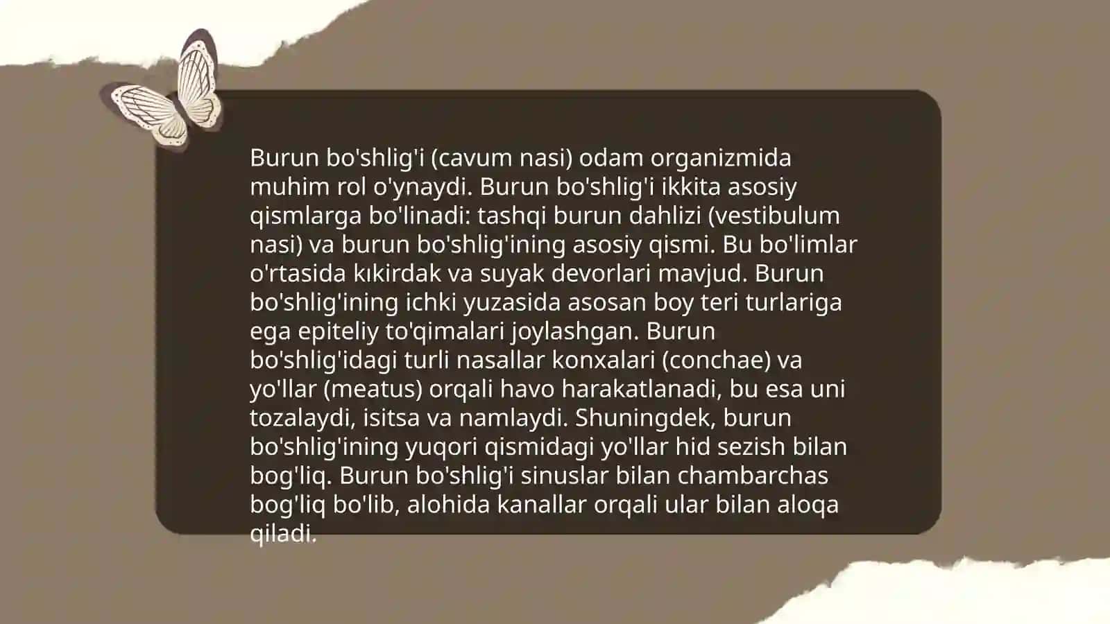 Nafas olish tizimi anatomiyasi 4