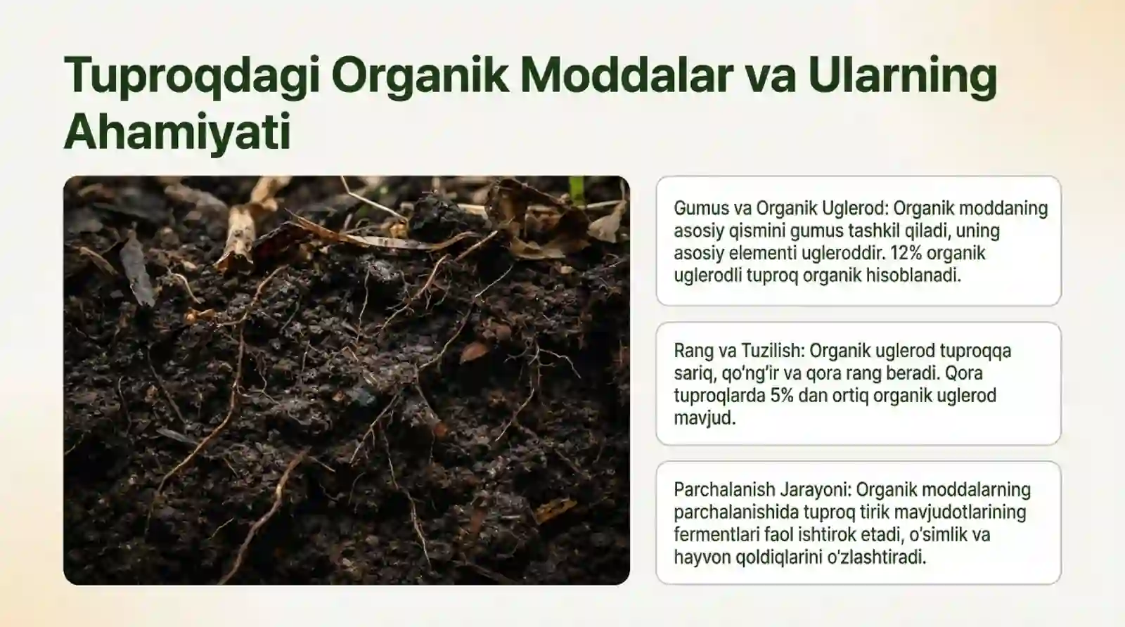 Tuproqni kimyoviy tarkibi uni saqlash va qayta ishlash usullari 4