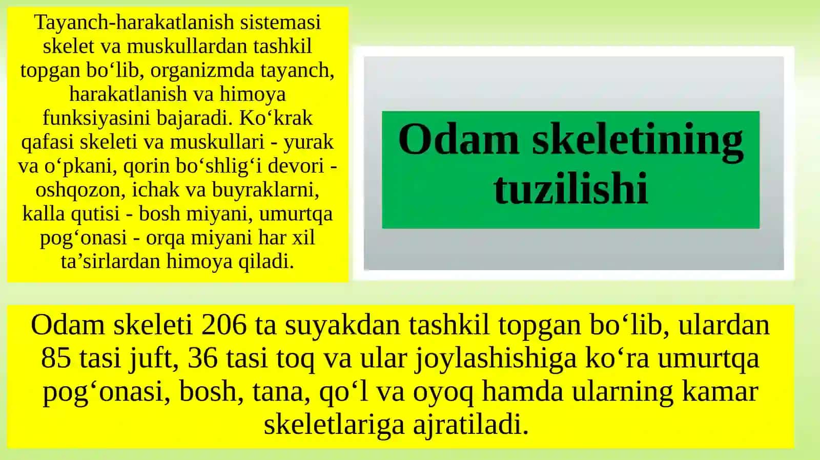 Tayanch-harakatlanish sistemasining rivojlanishida jismoniy mehnatning ahamiyati 4
