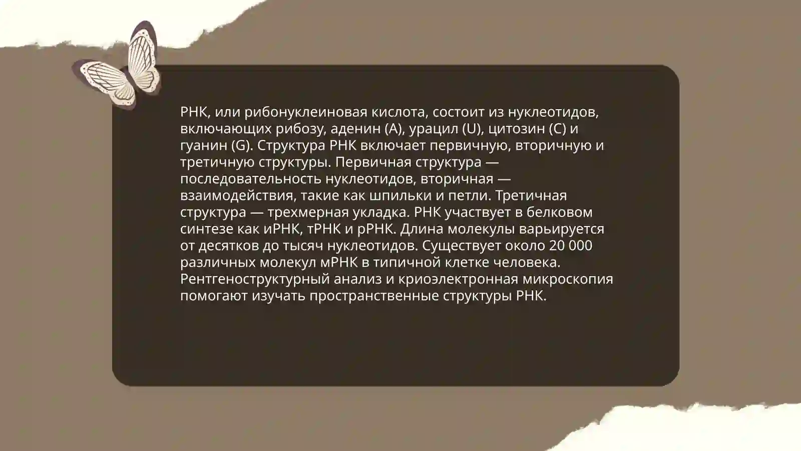 ДНК РНК 4