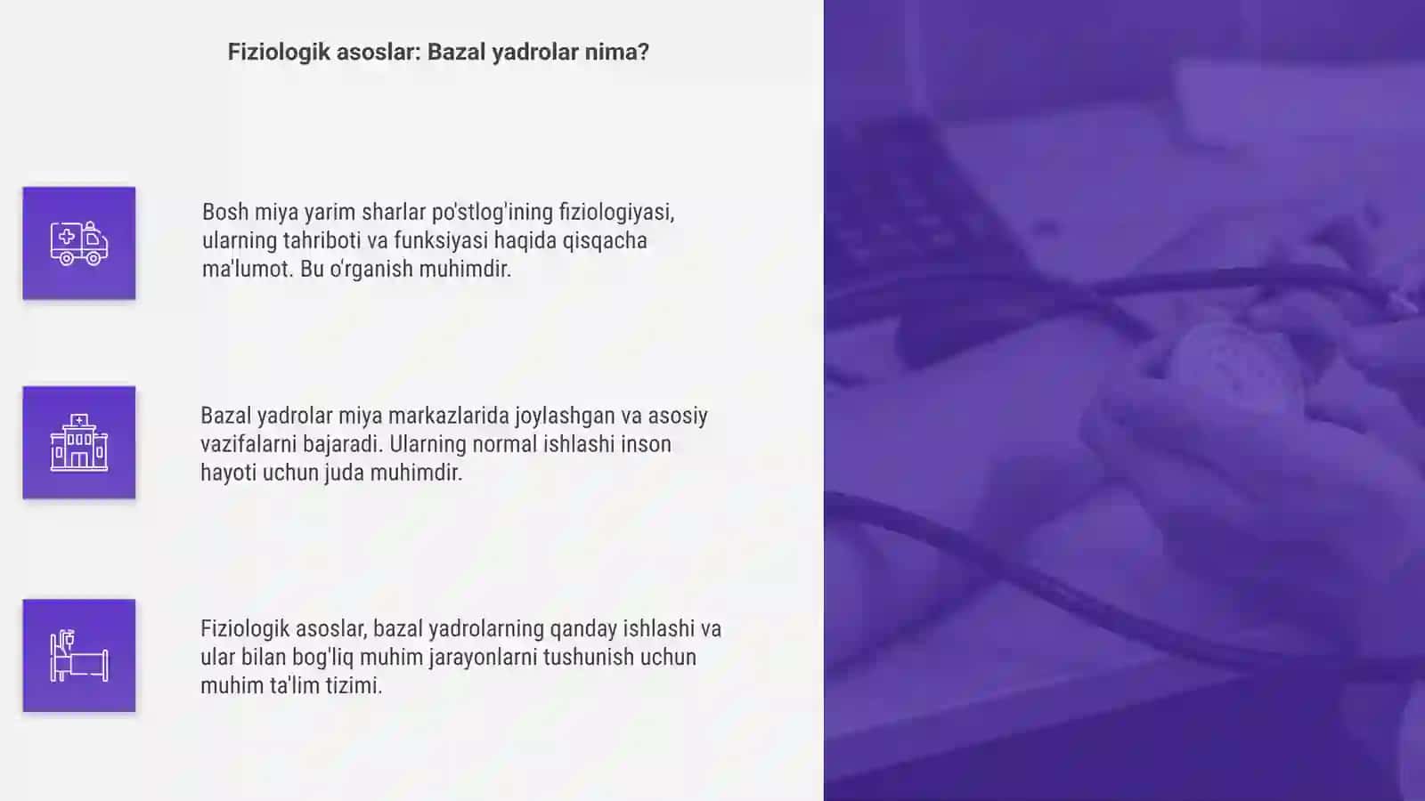 Bosh miya yarim sharlar po'stlog'ining fiziologiyasi 4