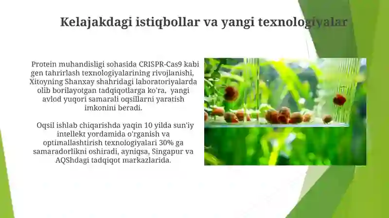 Oqsil Ishlab Chiqarish Biotexnologiyasi 4