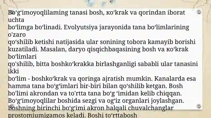 Preview 4