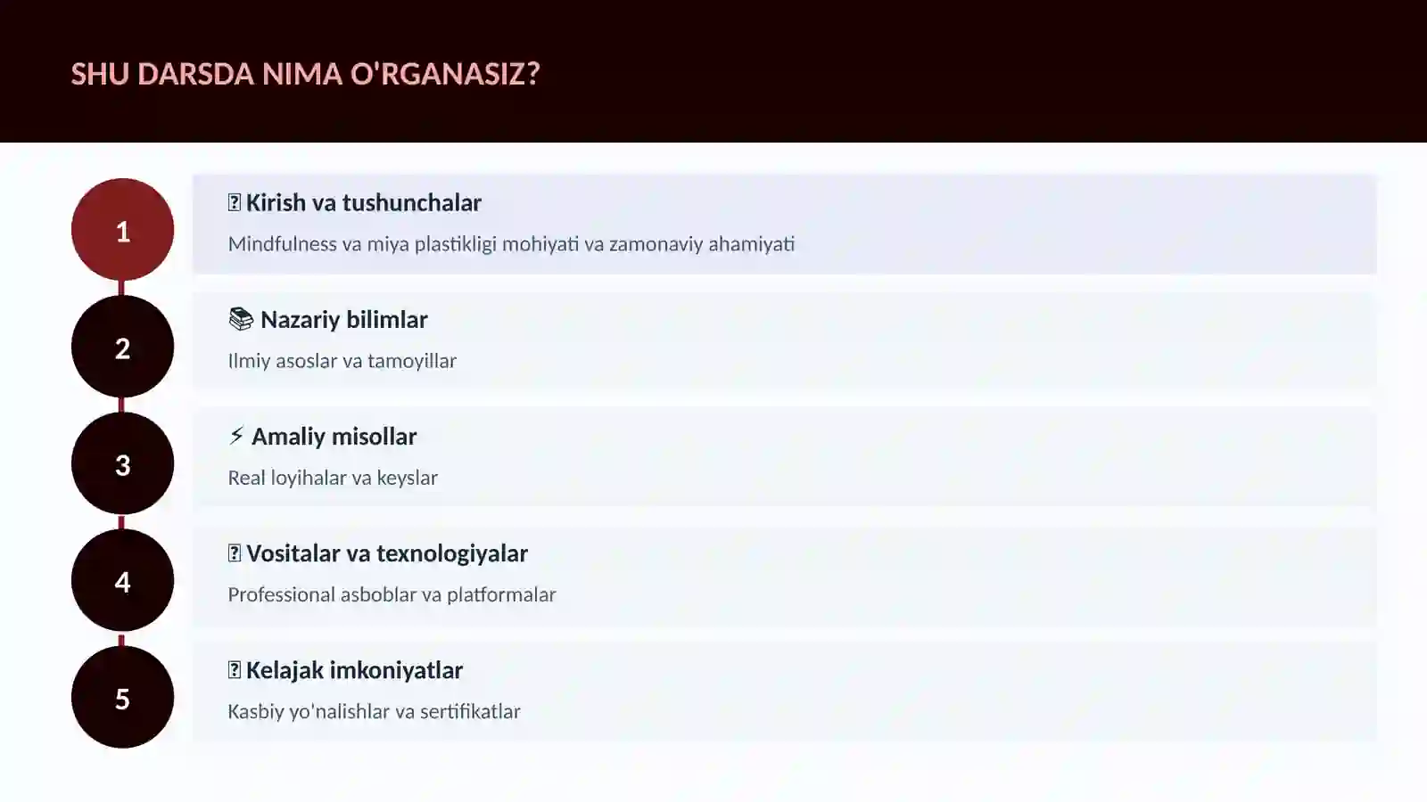 Mindfulness va miya plastikligi 4