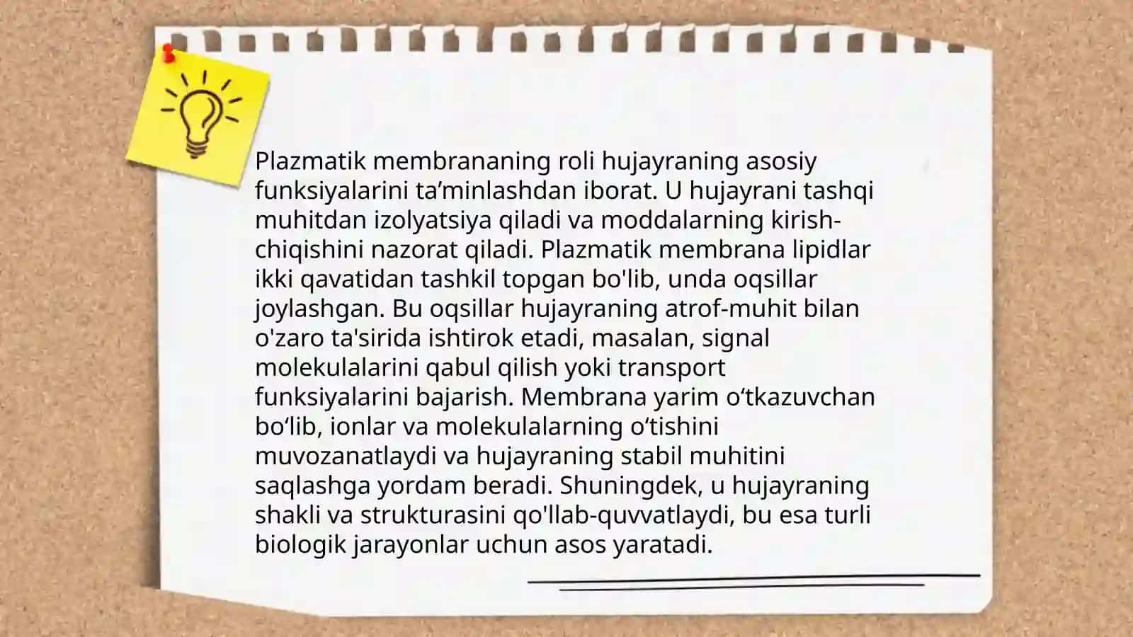 Hujayra va hujayradan tashqari Matriks orasidagi munosabatlar 4