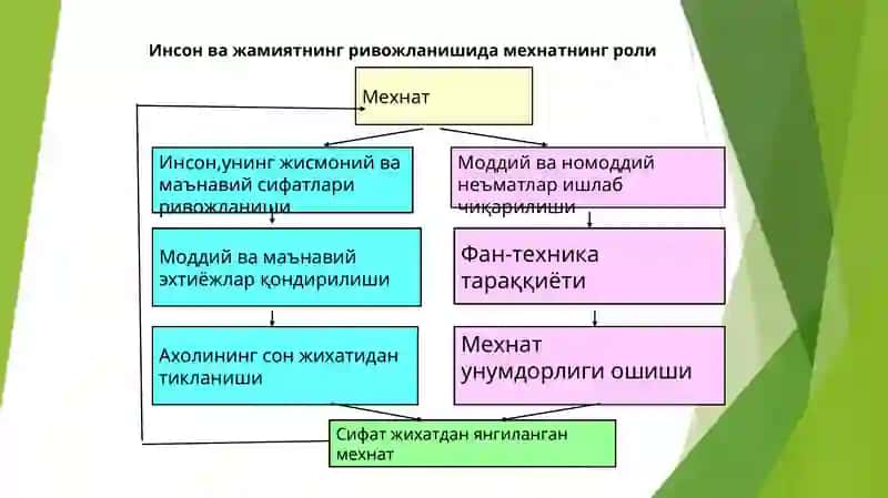 Меҳнат бозори ва корхоналарда меҳнат ресурсларидан фойдаланиш 4