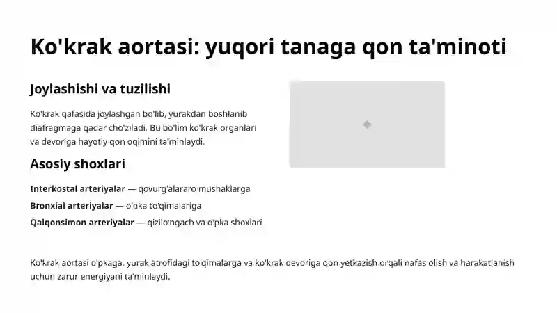 Aorta va uning bo'limlari 4