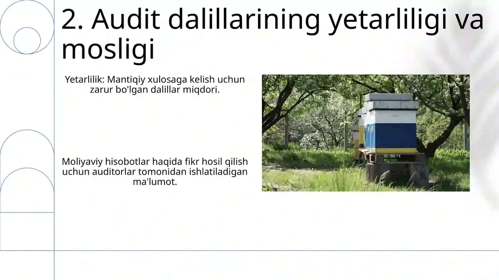 Audit dalillar 4