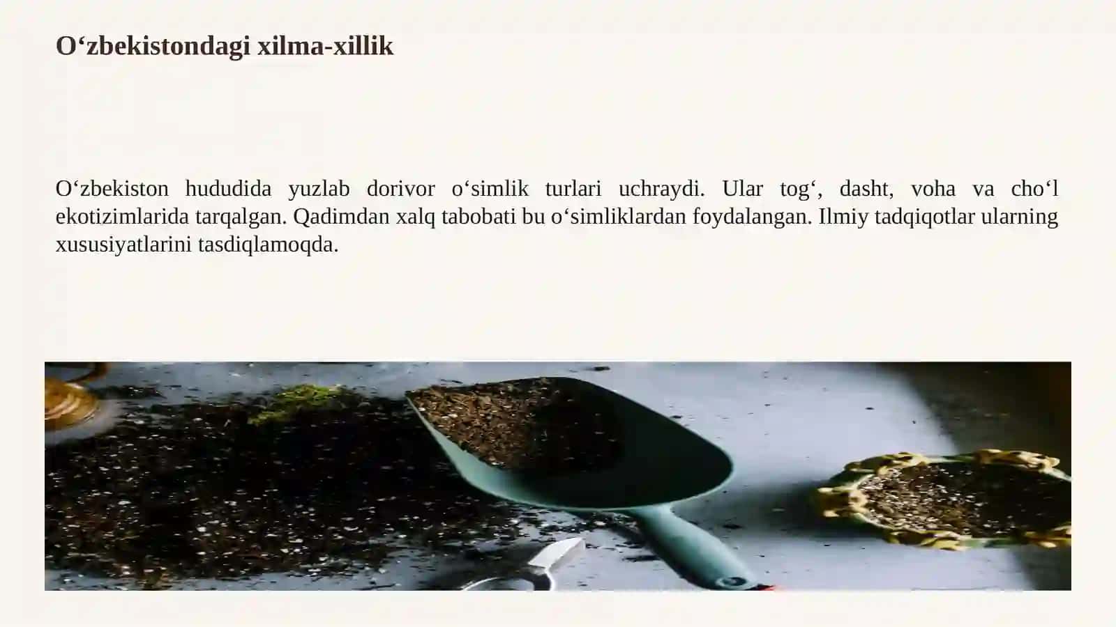 Dorivor o‘simliklar va ularning ahamiyati 4