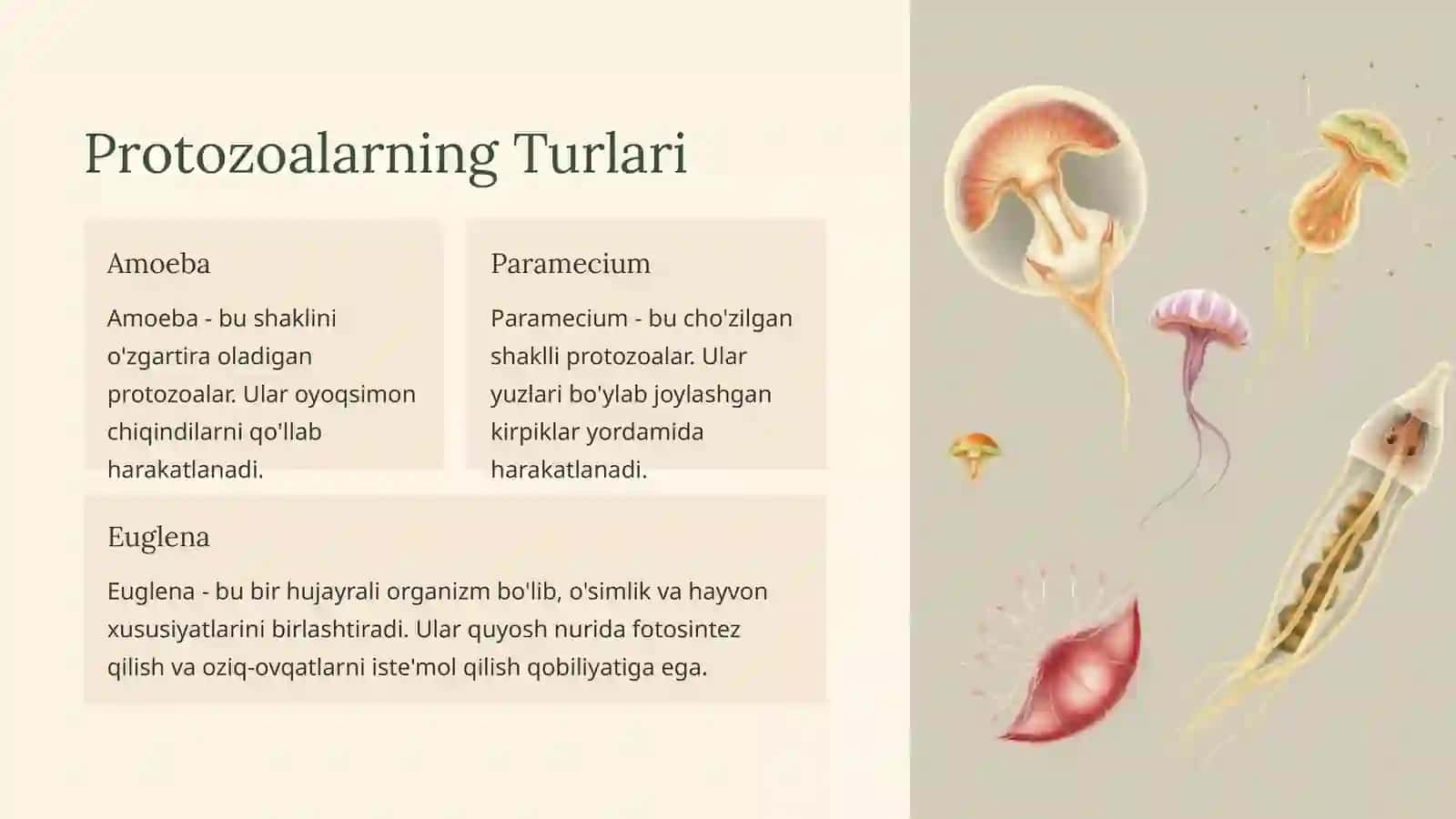 Umurtqasizlar: Hayvonlar Dunyosining Xilma-xilligi 4