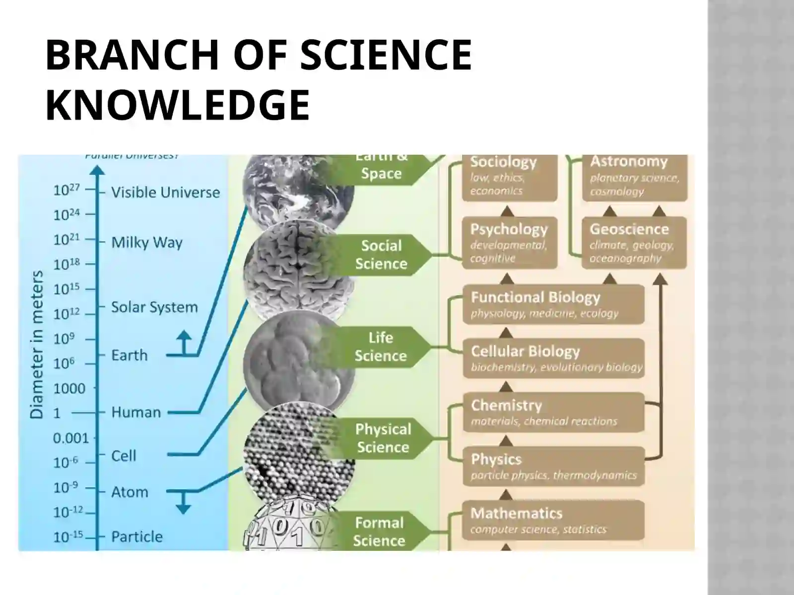 Science and Technology 4